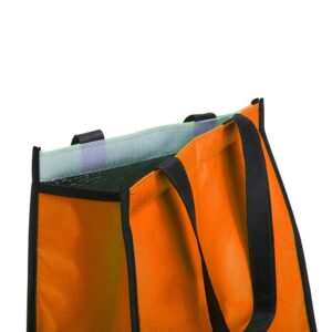 Bolsa Térmica de TNT com Capacidade de 6L ZB 2595 - foto 4