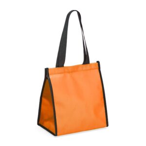 Bolsa Térmica de TNT com Capacidade de 6L ZB 2595 - foto 5